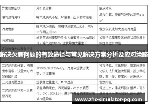 解决欠薪问题的有效途径与常见解决方案分析及应对策略 解决欠薪问题的有效途径与常见解决方案分析及应对策略