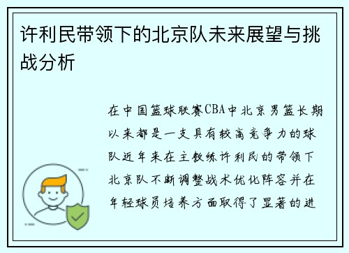 许利民带领下的北京队未来展望与挑战分析